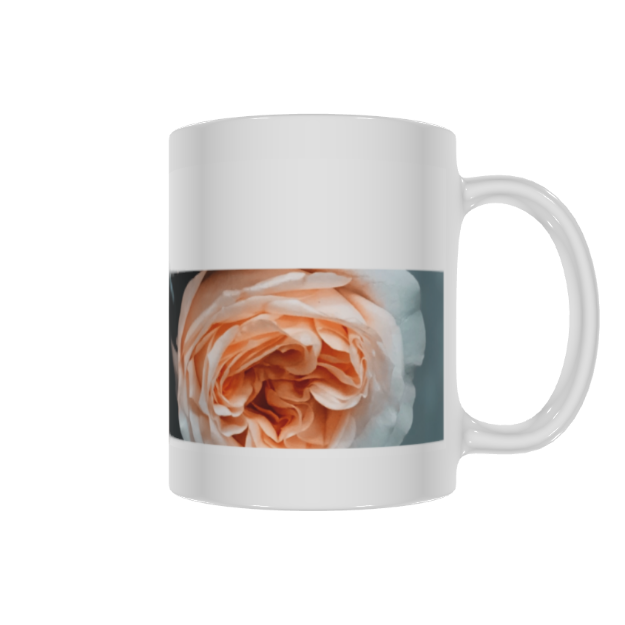Picture of mug again full