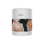 Picture of mug again full